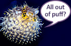 Then it's time to use Promega Apoptosis products!